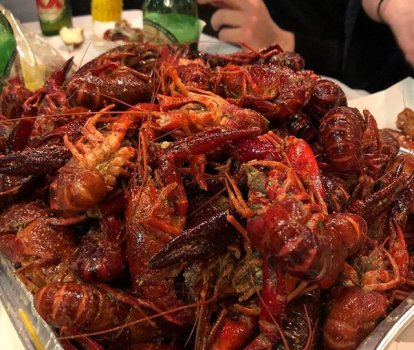 Blog 1: The Return to the Houston Rodeo